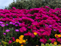 test 2